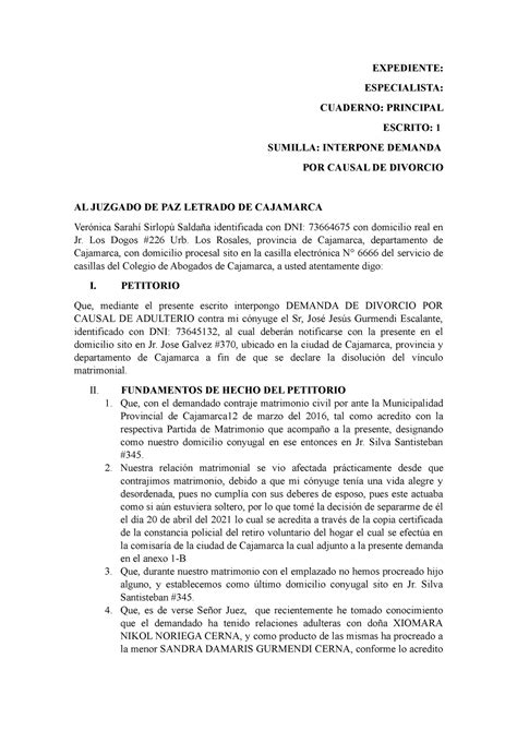 Demanda Divorcio Procesal Civil 1 Expediente Especialista Cuaderno