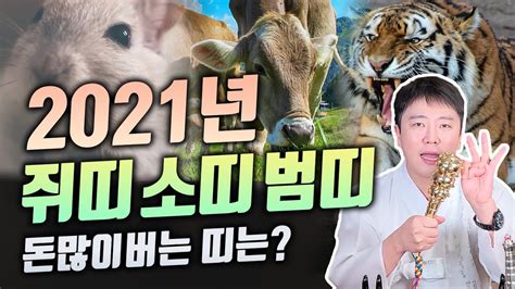 2021년신축년 1월운세 쥐띠소띠범띠 🐭🐮🐯신축년 가장 돈많이버는 띠는 띠별운세 Youtube