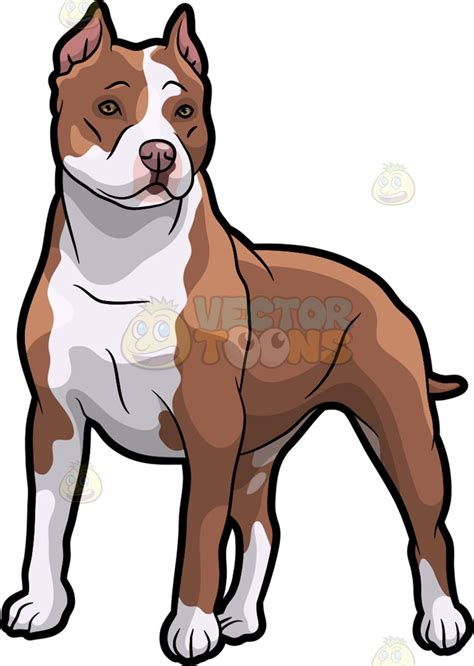 Pit Bull Clipart | Free download on ClipArtMag