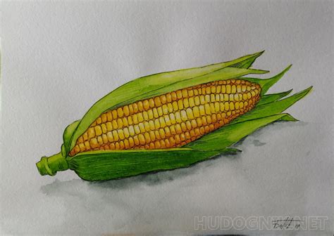 Картина Кукуруза. Размеры: 30x21, Год: 2019, Цена: 1000 рублей Художник ...