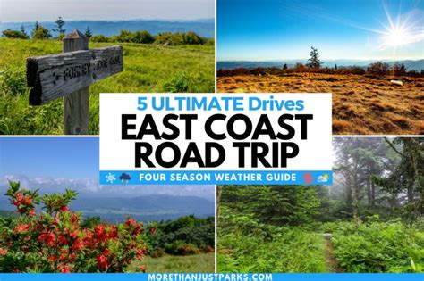 5 ULTIMATE East Coast National Park Road Trip (+Maps and Pics)