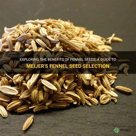 Exploring The Benefits Of Fennel Seeds A Guide To Meijer S Fennel Seed