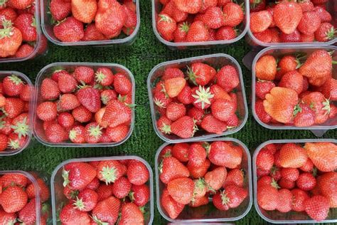 Wist Jij Dit Over Onze Hollandse Aardbeien Dit Hadden Wij Niet Verwacht