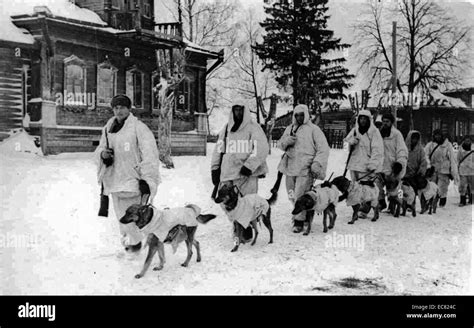 Soviet Soldiers Fotos Und Bildmaterial In Hoher Auflösung Alamy