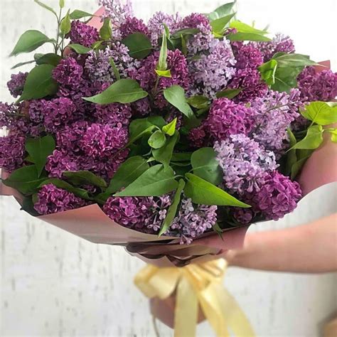Букет Сирени Фото - COLLECTION-DESIGN.RU