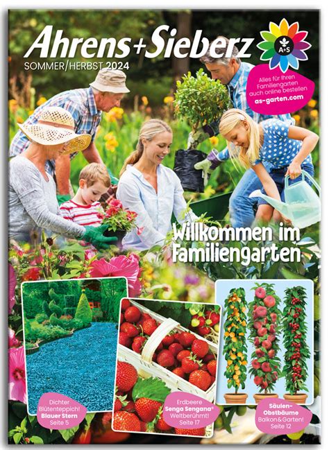 Die Moderne Hausfrau Katalog Bestellen Online Blättern