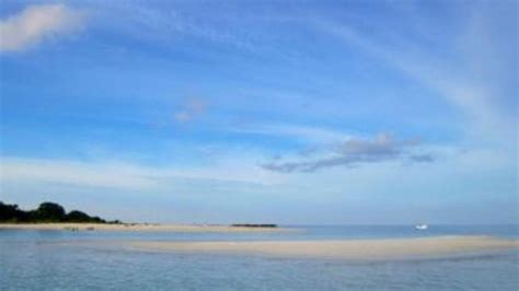 Foto Surga Bawah Laut Di Jawa Timur