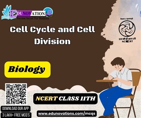 Ncert Class 11 Biology Mcq Cell Cycle And Cell Division Mcqs Multiple Choice Questions