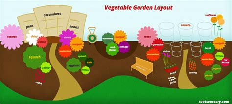 Companion Planting Vegetable Garden Layout - G4rden Plant