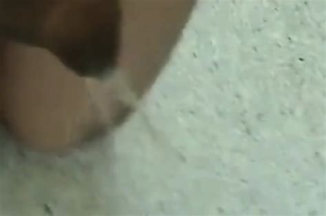 Public Nudity Japanese Amateur