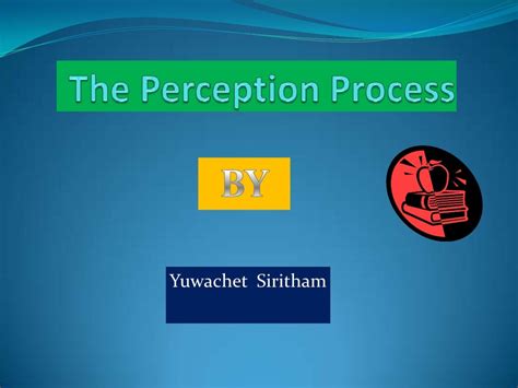 The perception process