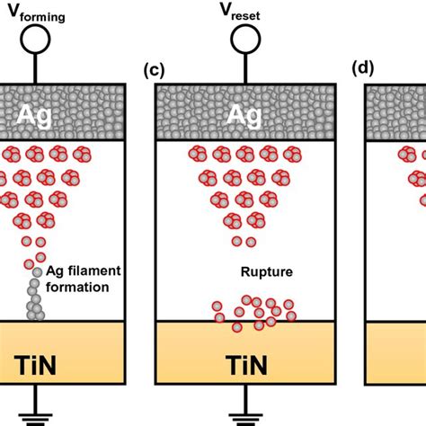 Schematic For The Switching Mechanism Of The Ag Zno Tin Device A