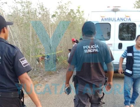 Hombre Pierde La Vida Atropellado Yucatan Ahora