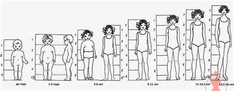 Introduction to the Theory. Children's Body Proportions (Girls) Corset ...