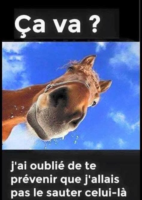 Les 35 Meilleures Images De Animaux Trop Drole Animaux Humour