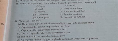 Match The Organisms Given In Column I With The Processes Given In Column