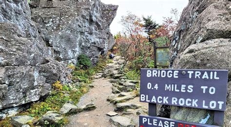 Bridge Trail - Grandfather Mountain