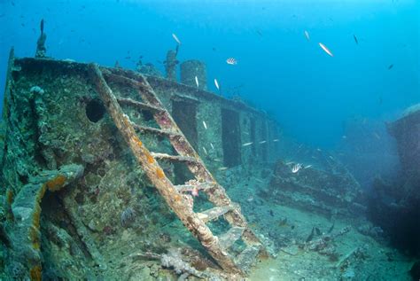 Yongala Shipwreck Dive Alva Beach In North Queensland