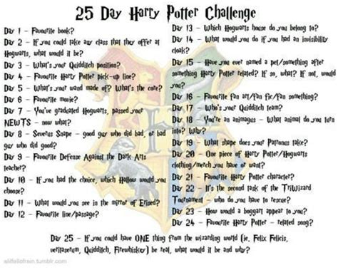 #25DayChallenge Day Three Quidditch Position | Harry Potter Amino