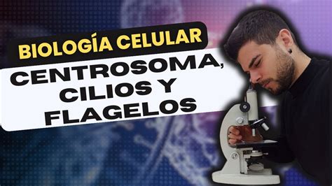 Biolog A Celular Centrosoma Cilios Y Flagelos Youtube