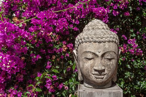 Feng Shui Qu Significa Y D Nde Hay Que Colocar La Cabeza De Buda Para