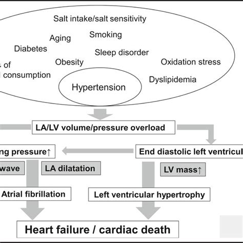 The percentage of left atrial enlargement and left ventricular ...