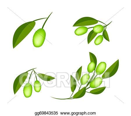 green olive clipart 10 free Cliparts | Download images on Clipground 2025