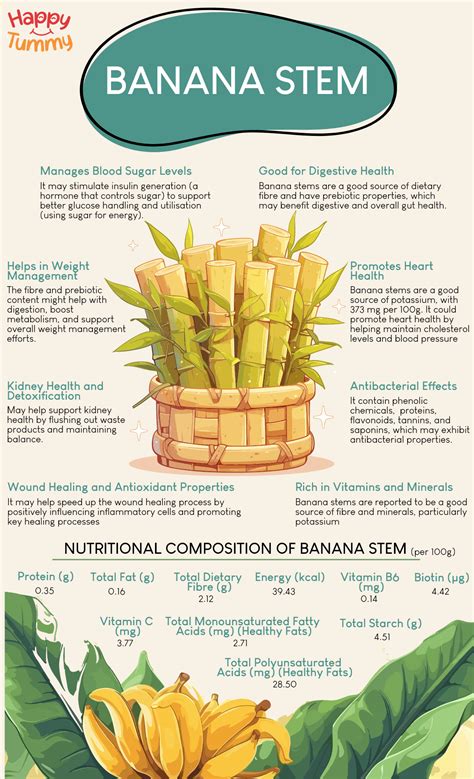 Banana Stem Benefits: Here's Why You Should Add It to Your Diet - Happytummy