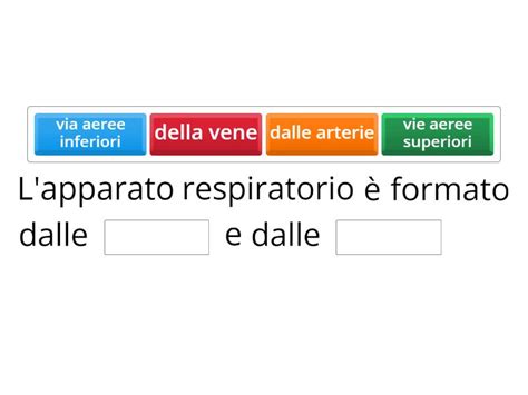 Verifica Scienze Motorie Apparato Respiratorio Completa La Oraci N