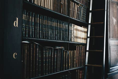 Guia do curso de Direito: como é, duração, estágio e perspectivas ...