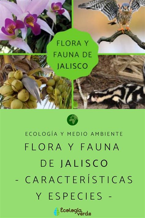 Fauna De Jalisco