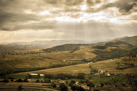 Jean Claude Lapalu An Understated Icon In Brouilly Le Blog IDealwine