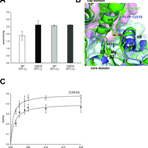 The structure of human PLPP. (A) Cylindrical cartoon model of PLP ...