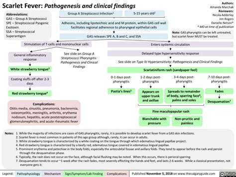 Scarlet Fever Pathogenesis And Clinical Findings Calgary Guide