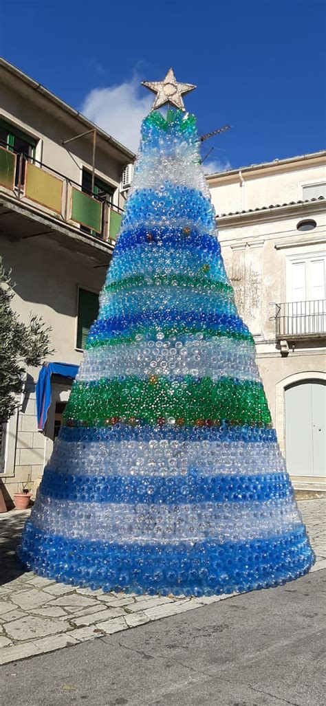 L Albero Di Natale Con Mila Bottiglie Ad Aiello Calabro Wesud