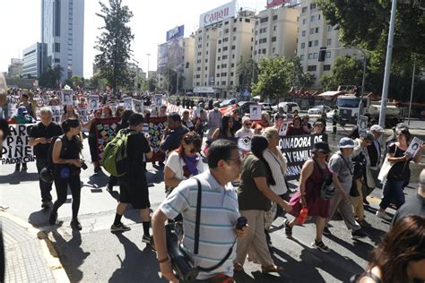 Marchas Y Actividades En El D A Internacional De Los Derechos Humanos