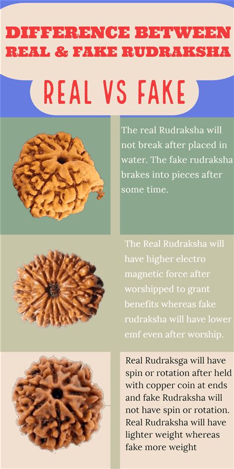 find   real rudraksha   fake rudraksha