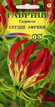 Глориоза Сердце Африки