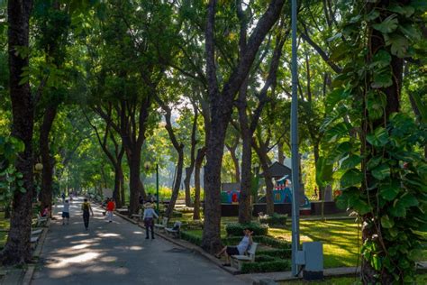 Hoang Van Thu Park, Saigon | Steve Barru Photographs