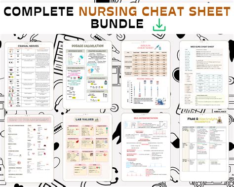 Nursing Cheat Sheet Bundle