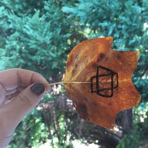 Leaf Fall GIFs - Find & Share on GIPHY