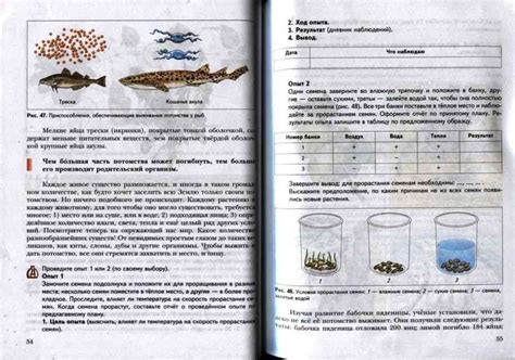 Учебник биология 5 класс Сухова Строганов читать онлайн