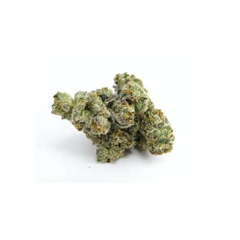 Alien Kush Fleurs De Cbd Cbd Au D Tail En Gros Sativas Fr