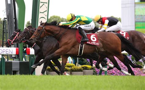 サトノグランツ4着まで同タイムの大激戦制し3連勝で重賞初制覇／京都新聞杯 3歳馬特集 競馬写真ニュース 日刊スポーツ