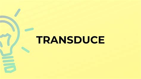 What is the meaning of the word TRANSDUCE? - YouTube