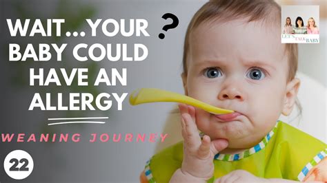 Weaning Journey Best Way To Introduce Allergens To Your Baby Youtube