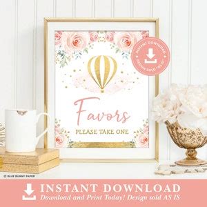 Hot Air Balloon Favors Sign Pink Gold Floral Baby Shower Decorations Adventure Girl St