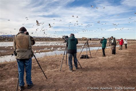 Bosque del Apache Photography Workshop | Socorro, NM | 970-385-5853