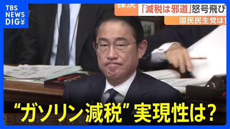 今年度補正予算案が衆議院通過 国民民主党が賛成 “ガソリン減税”実現性は？自民、公明、国民民主の3党で協議へ｜tbs News Dig