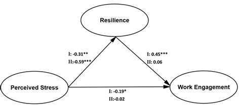 The Effect Of Perceived Stress For Work Engagement In Volunteers During